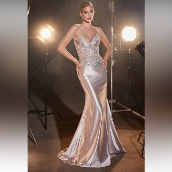 Bia Boutique Ladivine Satin & Lace Silver Dress - Picture 3 of 5